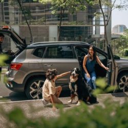 Car Rental in Europe: Everything You Need to Know to Make the Right Choice